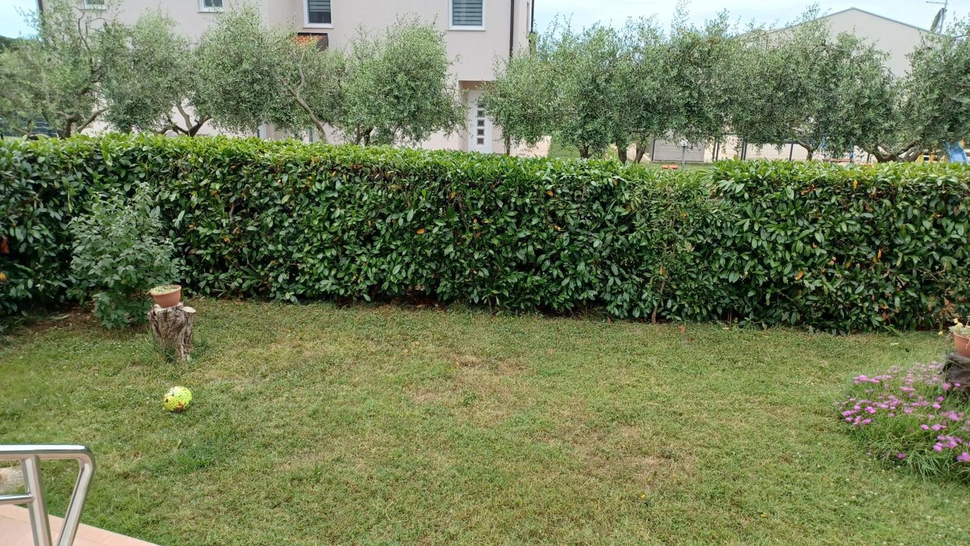 אומאג Apartments Villa Adamovic מראה חיצוני תמונה